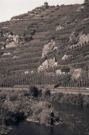Altenahr: Ahrtal; Weinberge
