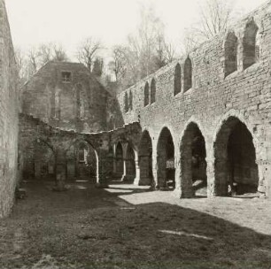 Stadtroda. Ruine der ehem. Klosterkirche. Inneres nach Westen