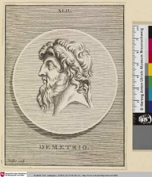 DEMETRIO