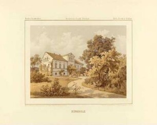 Birkholz