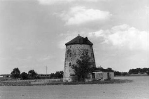 Dahlen-Börln. Turmholländer
