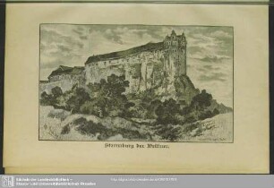 Stammburg der Wettiner