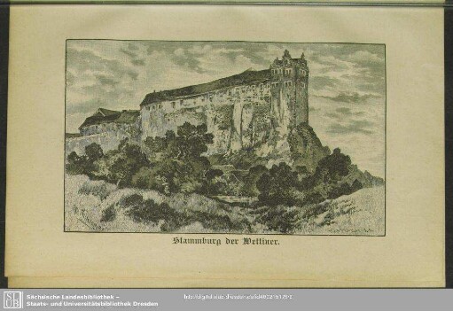 Stammburg der Wettiner