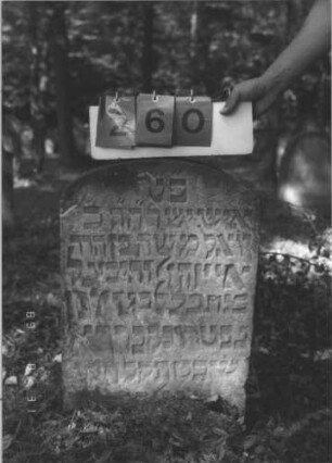 Grabstein 260 (Index: 99609896) Material: Sandstein Zustand: verwittert Maße HxBxT: 64x44x10 cm Beschreibung: Stele, Segmentbogenabschluß: Grabstein 260