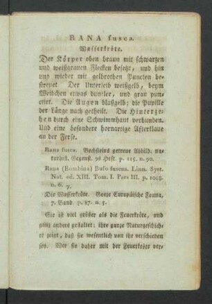 RANA fusca. Wasserkröte.