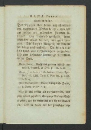 RANA fusca. Wasserkröte.