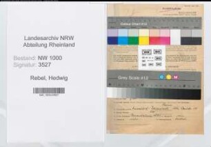 Entnazifizierung Hedwig Rebel, geb. 10.08.1900 (Postsekretaerin)