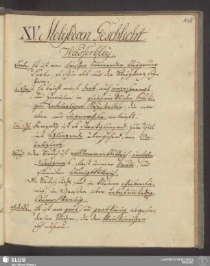 XV. Molybdaen Geschlecht