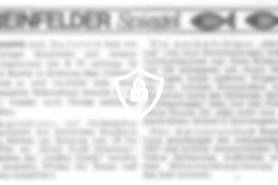 Reinfelder Spiegel