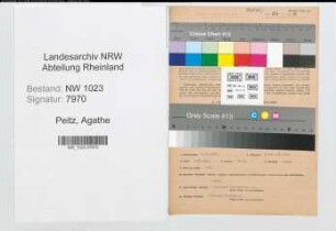 Entnazifizierung Agathe Peitz , geb. 03.11.1895 (Kauffrau)