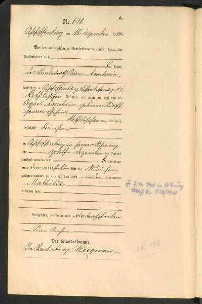 Standesamtsbuch der Stadt Aschaffenburg: Geburten 365/1900 - 184/1901