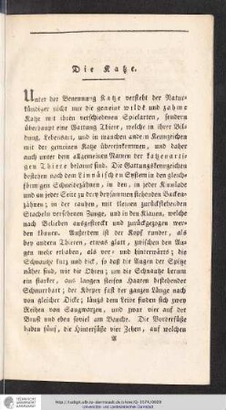 Die Katze