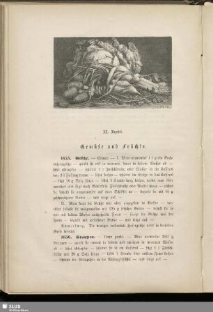 XI. Kapitel. Gemüse und Früchte