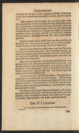 Das XII. Capittel.