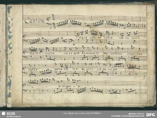 Usignoletto bello che su quel ramoscello - Mus.1-J-7,2 : S, bc - G; RV 796