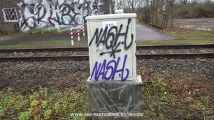 NASH