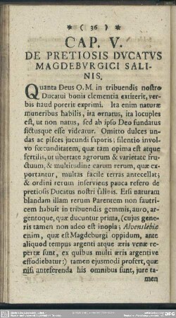 Cap. V. De Pretiosis Ducatus Magdeburgici Salinis