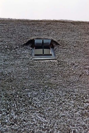 Sühlen: Zur Trave 16: Fachwerkkate mit Reetdach: Traufseite, Detailaufnahme: Fledermausgaube mit Liegefensterchen: August 1994