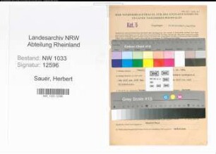 Entnazifizierung Herbert Sauer , geb. 12.04.1917 (Polizeibeamter)