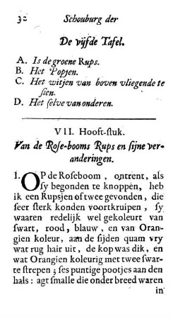 VII. Hooft-stuk. Van de Rose-booms Rups en sijne veranderingen