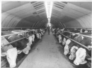 Weihenstephan. Bayerische Landesanstalt für Landwirtschaft (LfL). Versuchs-und Beispielbetrieb für einen Bogenbinder- und Schalenstall. Verwendung neuer Bedachungs-und Isoliermaterialien