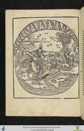 Liber VIII. De Principiis Rerum Naturalium.