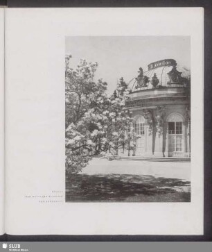 Der mittlere Rundbau von Sanssouci