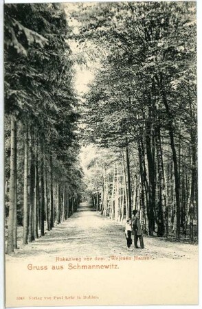 Schmannewitz. Hakenweg vor dem Weißen Hause
