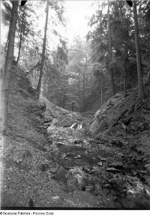 Waldbach im Gebirge