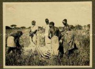 Afrikaner beim Abtransport eines erlegten Zebras