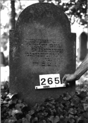 Grabstein 265 (Index: 100085134) Maße HxBxT: 107x55x13 cm Beschreibung: Stele, eingezog. Rundbogenabschl. , Schriftfeld eingetieft: Grabstein 265