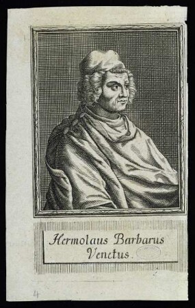 Barbarus, Hermolaus 