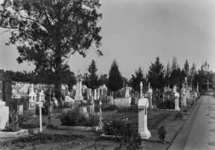 Friedhof : Blick auf den evangelischen Friedhof in Rio Claro.