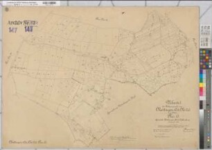 Mettingen (Mettingen), Umlegung Mettingen-Ost, Urkarte I Flur 13