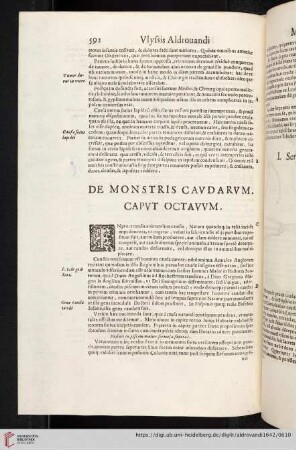 Caput Octavvm: De Monstris Cavdarvm