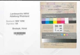 Entnazifizierung Horst Brodsak , geb. 05.01.1908 (Lagerist)