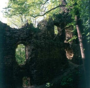 Pöhl-Liebau. Ruine der Burg Liebau (Wiederaufbau 1644). Ehemaliger Palas