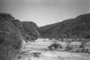 Fahrt nach Puerto Barrios (Lateinamerika-Aufenthalte 1934/1942 – 5. Mexiko 1937)