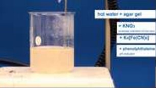 Corrosion Experiments in Gel: Phenolphtalein Indicator and Prussein Blue Indicator