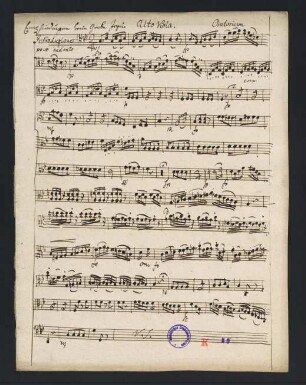 125-134, Viola Alto