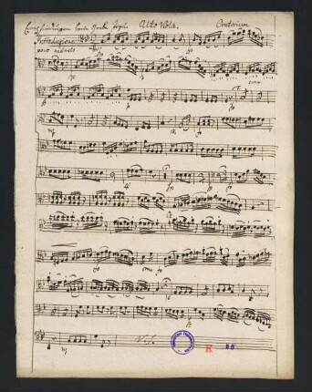 125-134, Viola Alto