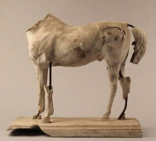Stehendes Pferd