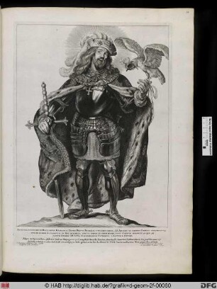Graf Aloynus van Haspengovw, genannt Bavo
