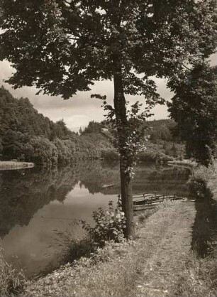 Zschopau-Wehrteich : Mittelsächsisches Hügelland. Zschopau-Wehrteich oberhalb der Krumbacher Pappenfabrik