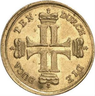 Hessen-Darmstadt: Ludwig VIII.