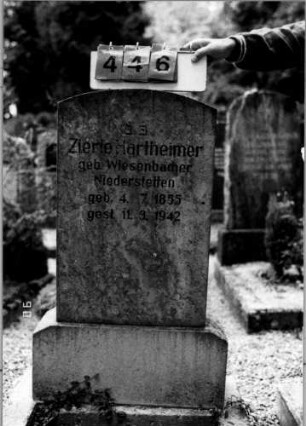 Grabstein 446