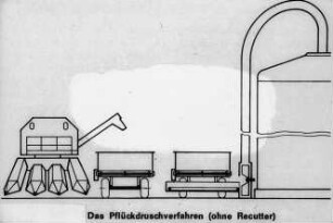 Das Pflückdruschverfahren (ohne Recutter)