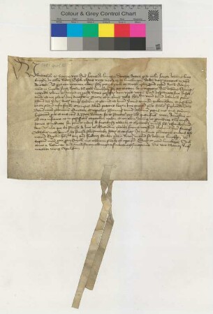 Dem Propste zu St. Johannis Dr. Leonhard Langhe präsentiert Geseke Elsters, "virgo incola" zu Lüneburg, für eine Vikarie am Petri-, Pauli-, Mathei-, 3 Könige- und Georgs-Altar in der Nicolaikapelle den Verdener Presbyter Johan Peyne. [lat.]