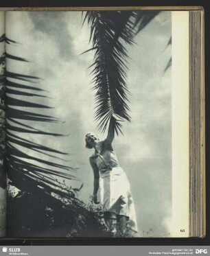 Palmen auf La Palma