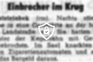 Einbrecher im Krug